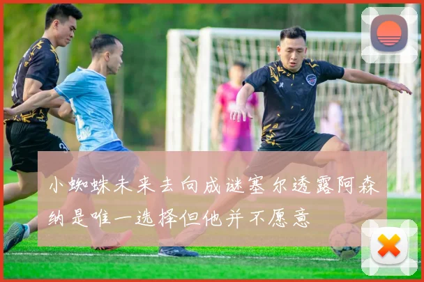 小蜘蛛未来去向成谜塞尔透露阿森纳是唯一选择但他并不愿意